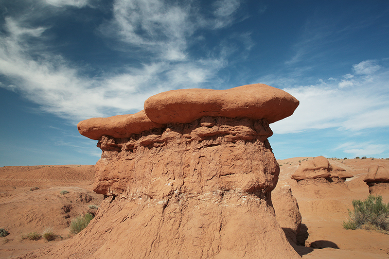 Bison : Antelope Island : Utah : Landscape Photos : Richard Moore : Photographer